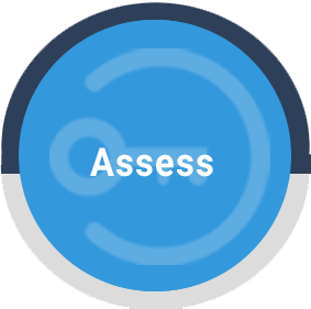 assess